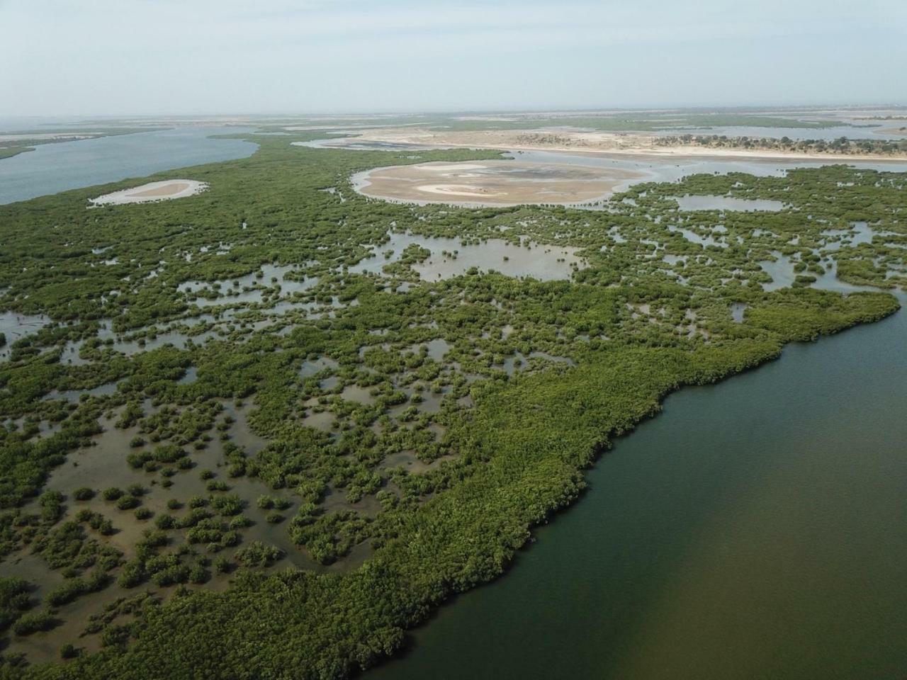 Le Pelican Du Saloum Sine-Saloum Exterior photo